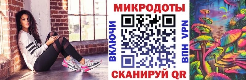 Купить  Онега  Галлюциногенные грибы Psilocybine cubensis 